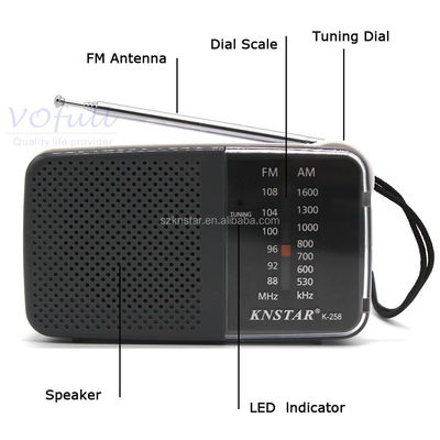 AUX Input FM Radio With AM/FM Black/Grey Colour USB Port And TF Card