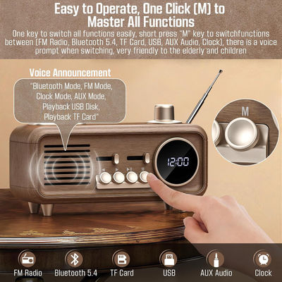 AM / FM Portable Radio Player with USB/TF Slot and FM/MW/SW 3 Band