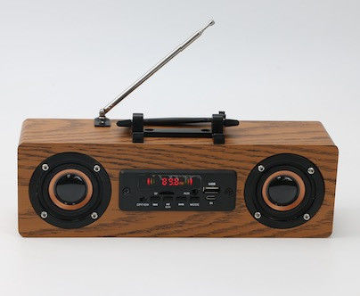 10W Wireless Portable Bluetooth Speakers With Radio Antenna Connectivity