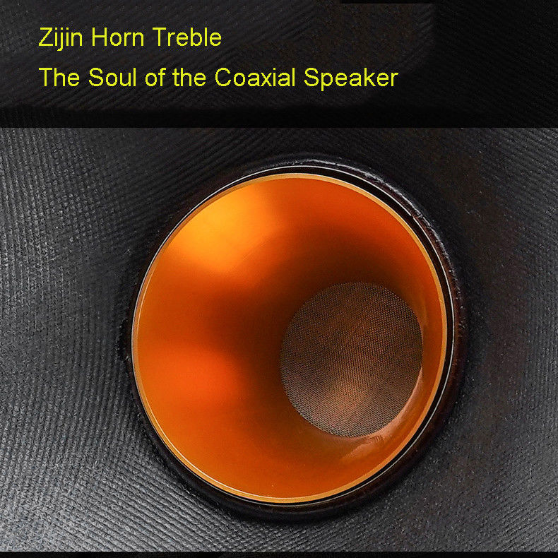 Coaxial HiFi 12 Inch Bookshelf Speakers , Audiophile Bluetooth Speaker 220W