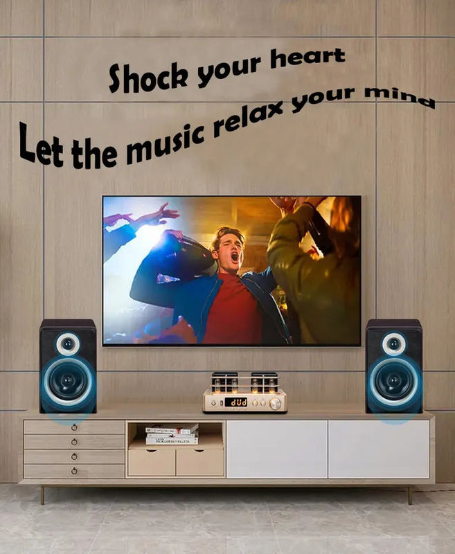 4 Ohms Bluetooth Hifi Bookshelf Speakers 2 Way Multifunctional