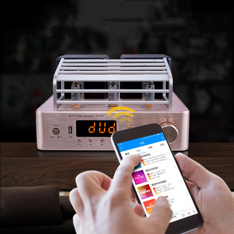 Integrated Stereo Hybrid Vacuum Tube Audio Amplifier With Subwoofer Output MIC Output