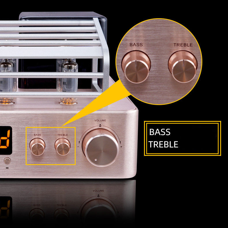 Integrated Stereo Hybrid Vacuum Tube Audio Amplifier With Subwoofer Output MIC Output