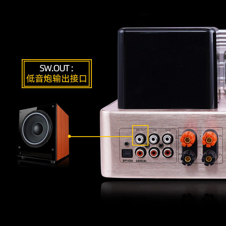 Integrated Stereo Hybrid Vacuum Tube Audio Amplifier With Subwoofer Output MIC Output