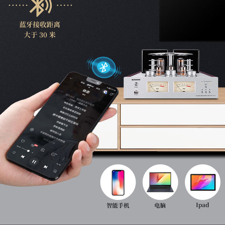 HiFi Wireless Bluetooth Audio Amplifier For Home Music Sound Speaker