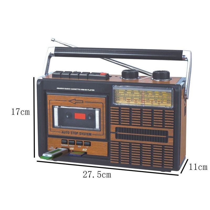 FM AM Portable Radio Player 220V 50Hz With Recording Function