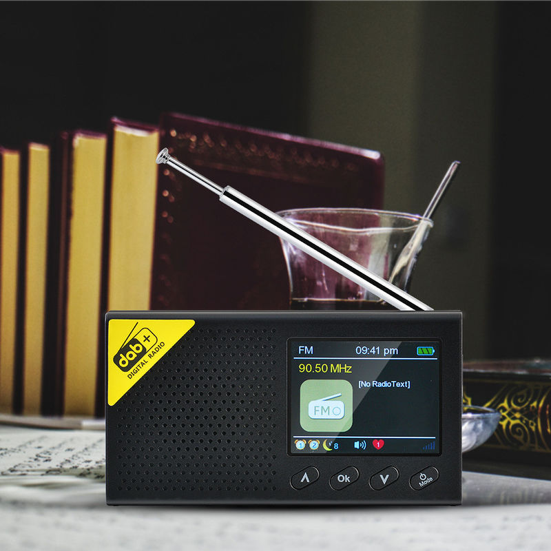 Portable Style FM Radio With DAB Frequency Range 170-240MHz
