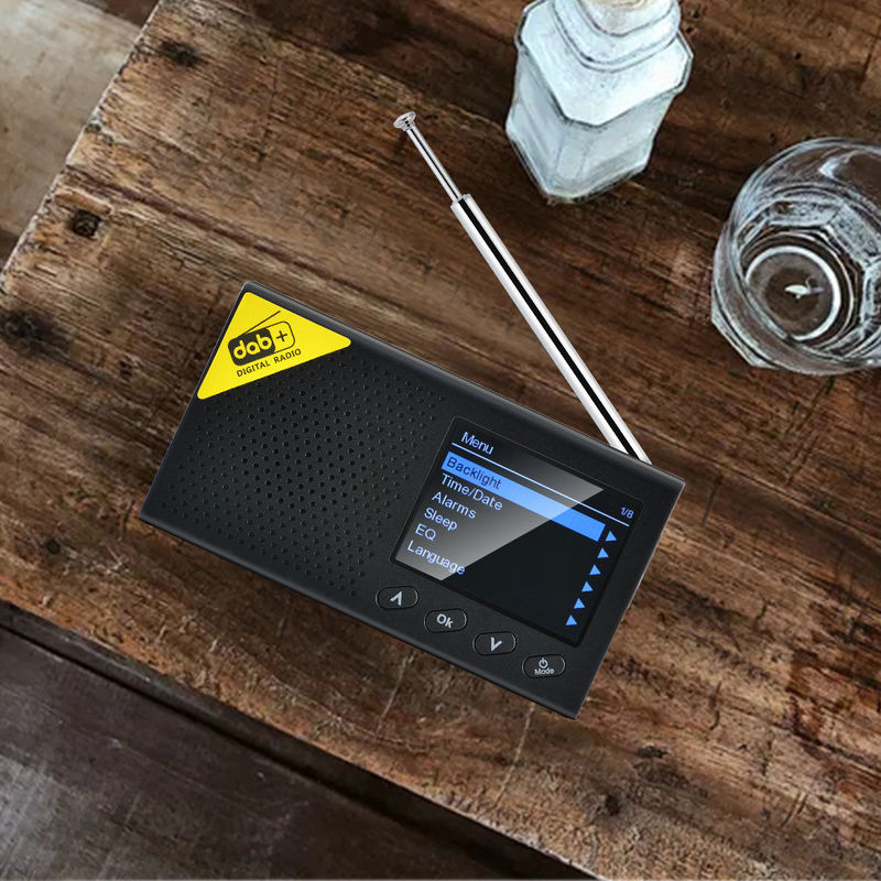Portable Style FM Radio With DAB Frequency Range 170-240MHz