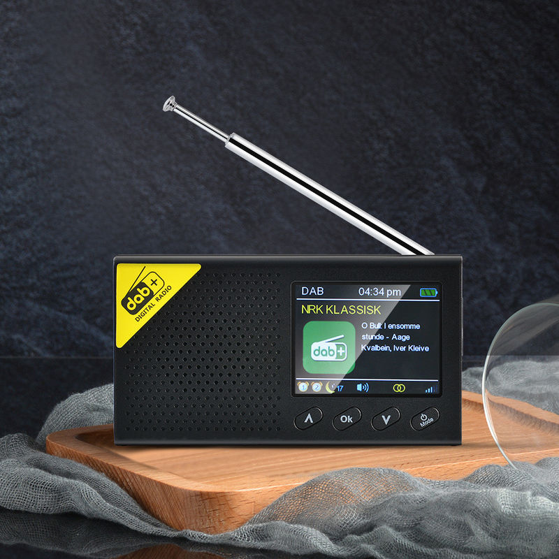 Portable Style FM Radio With DAB Frequency Range 170-240MHz
