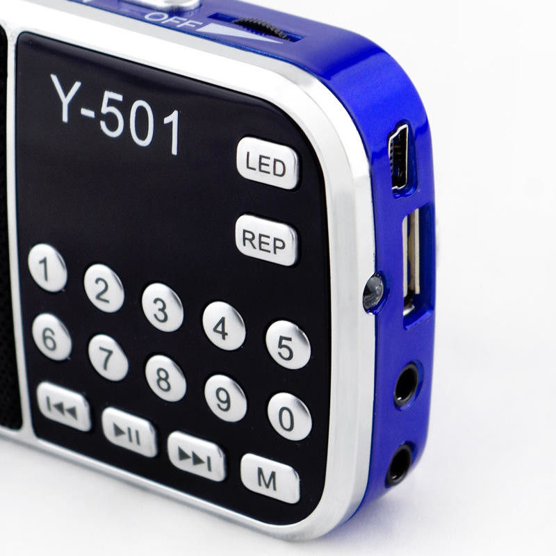 Portable FM/AM Radio Player with LCD Display and Audio Output