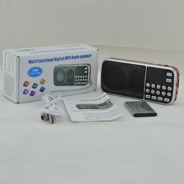 Portable FM/AM Radio Player with LCD Display and Audio Output