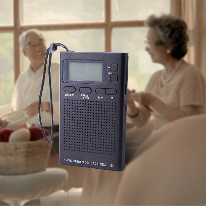 2 Band AM/FM Stereo Portable Digital Radio With LCD Screen