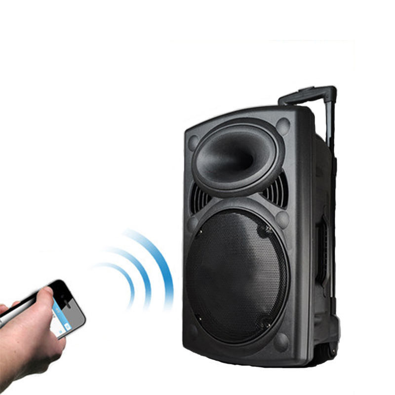 Wireless Speaker With Bluetooth AUX USB SD RJ45 For HiFi Stereo Sound