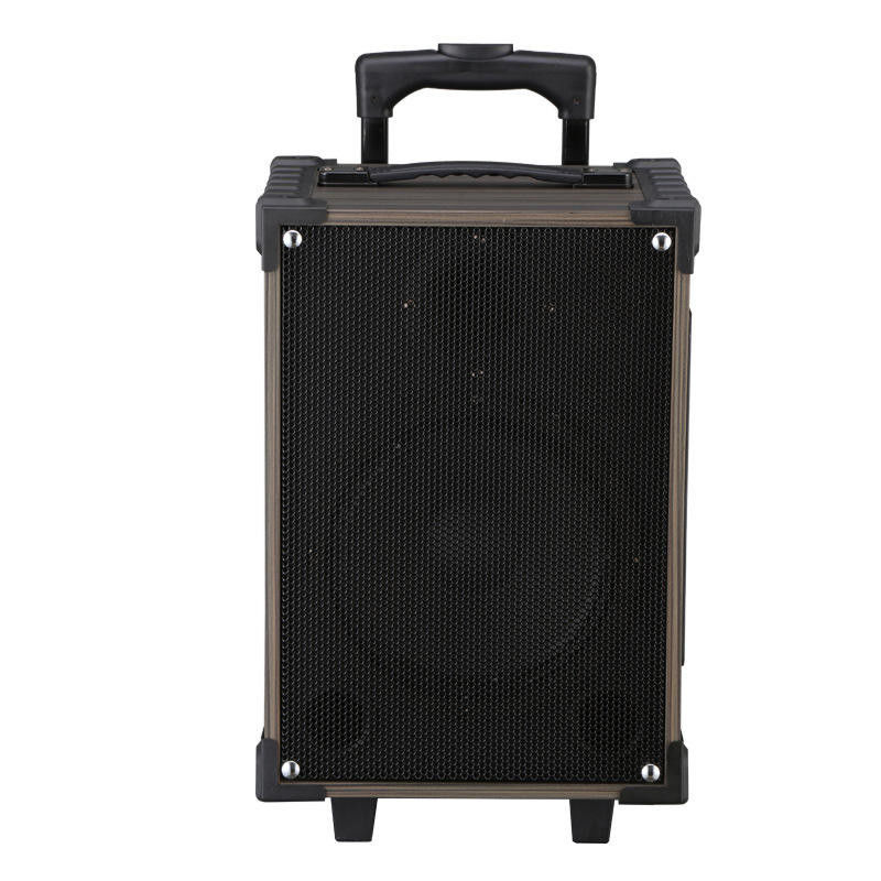 Portable Wireless Bluetooth Trolley Speaker 50W Output Power Booming Bass