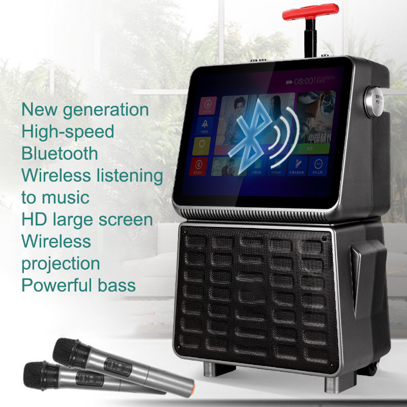 40W Output Power Portable Trolley Speaker Equipped with USB/SD Bluetooth Function