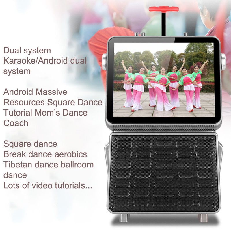 40W Output Power Portable Trolley Speaker Equipped with USB/SD Bluetooth Function