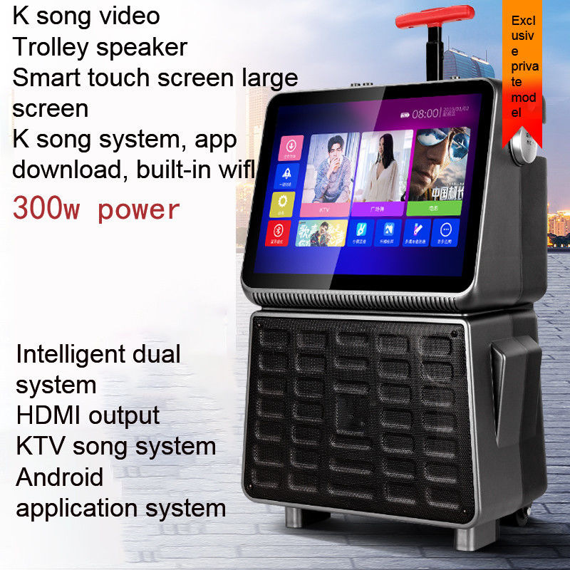 40W Output Power Portable Trolley Speaker Equipped with USB/SD Bluetooth Function