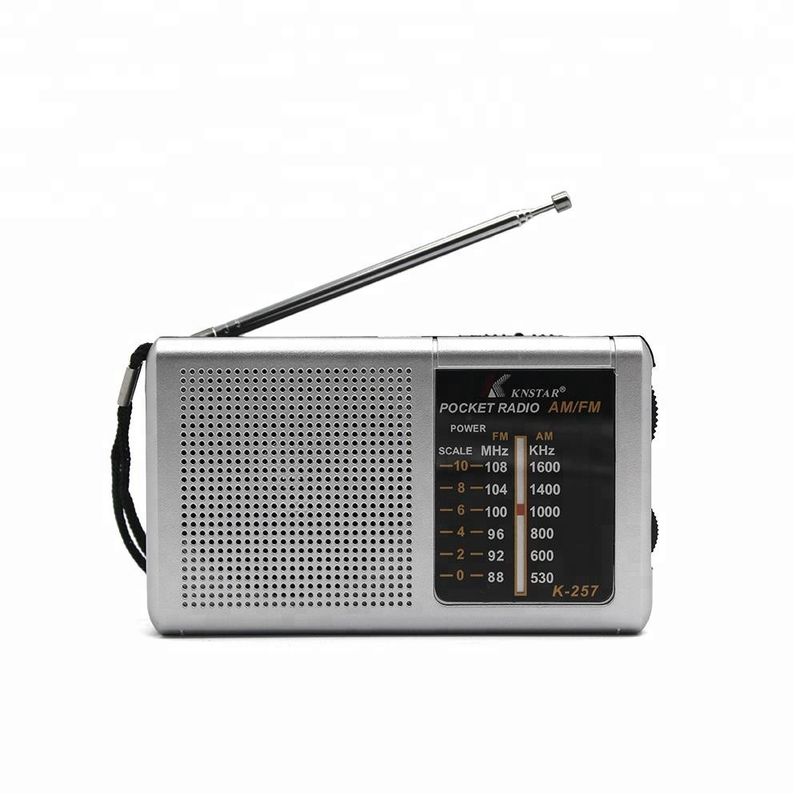 Black Sliver Sleek Portable AM/FM Clock Radio with Battery Backup DC 3V AA*2 Battery Not Included