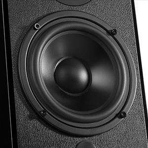 Wooden Bookshelf Speakers With TWO-WAY Audio Crossover and Medium Bass for Sound