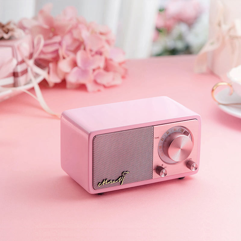 Portable Style Private Mold Wireless Speaker with DAB TF Card and 3.5mm Stereo Line Out