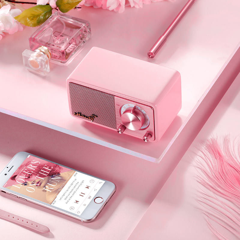 Portable Style Private Mold Wireless Speaker with DAB TF Card and 3.5mm Stereo Line Out
