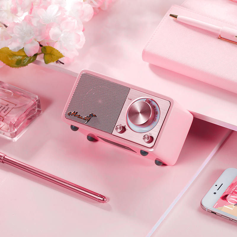 Portable Style Private Mold Wireless Speaker with DAB TF Card and 3.5mm Stereo Line Out