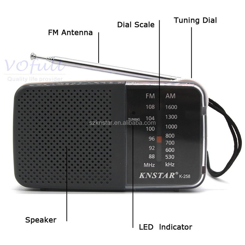 AUX Input FM Radio With AM/FM Black/Grey Colour USB Port And TF Card