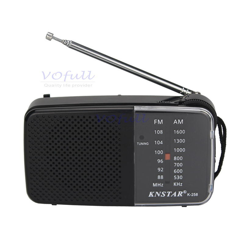 AUX Input FM Radio With AM/FM Black/Grey Colour USB Port And TF Card