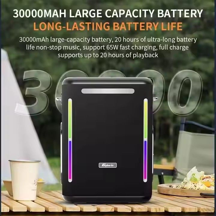 High Frequency Range 65Hz-20KHz Waterproof Bluetooth Speaker with 100W Output Power and 2 Tweeter Size Wooden Cabinet